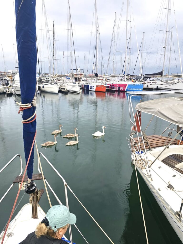 mangalia-06